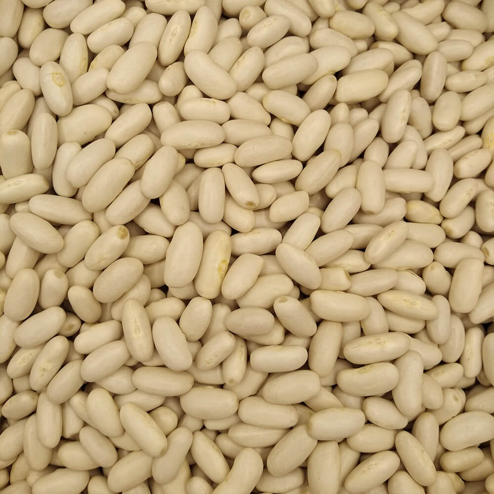 Fagioli Cannellini
