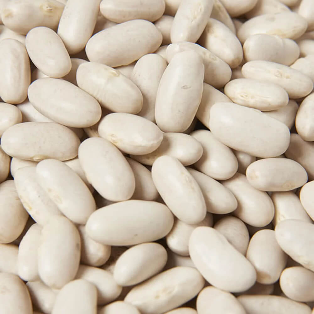 Fagioli Bianchi