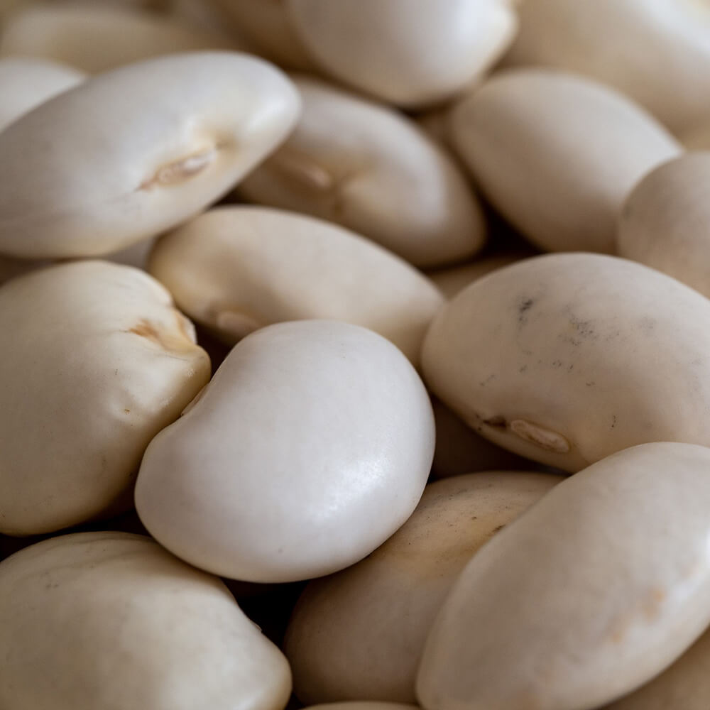 Fagioli Cocos