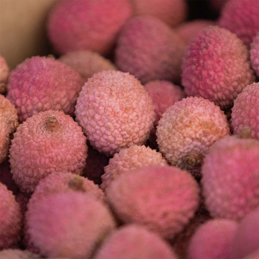 Litchi