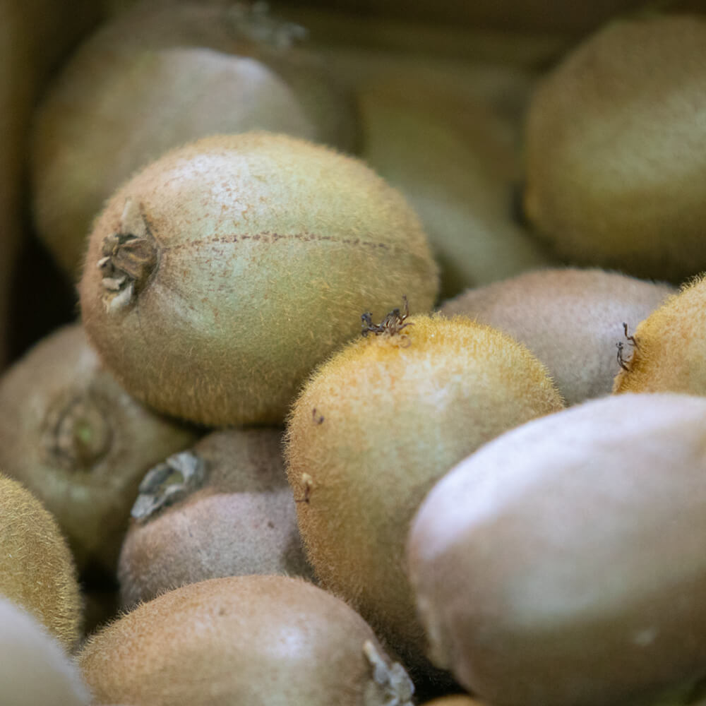 Kiwi