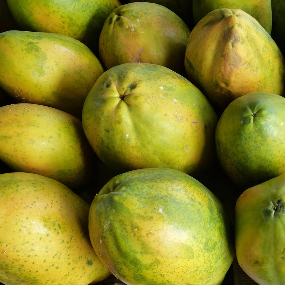 Papaya