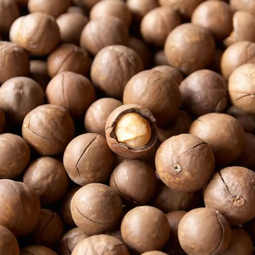 Noci Macadamia