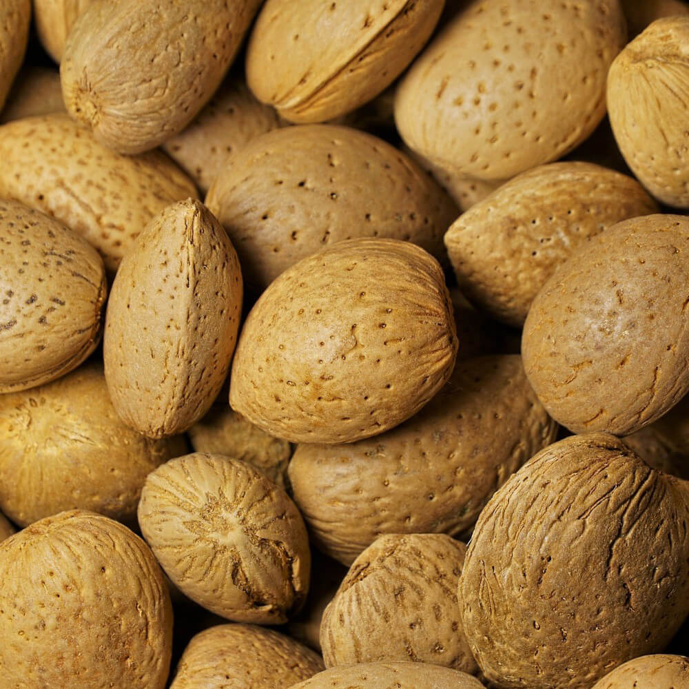 Mandorle