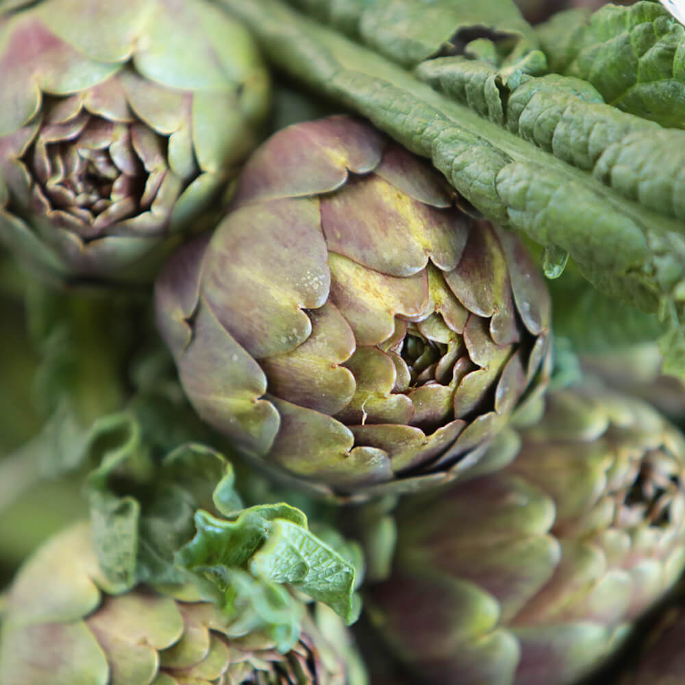 Carciofi