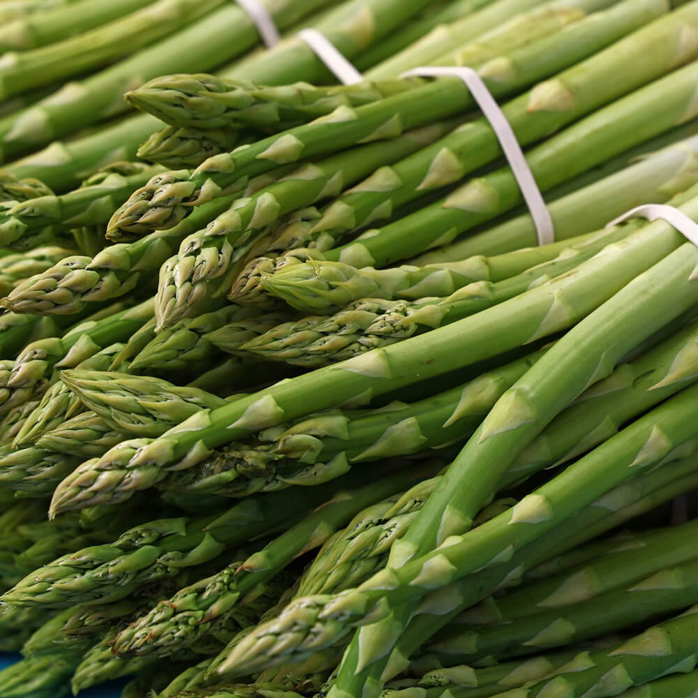 Asparagi
