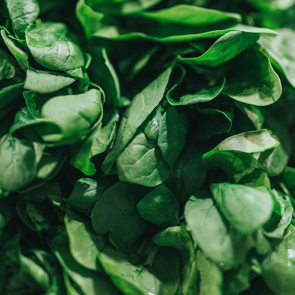 Spinaci