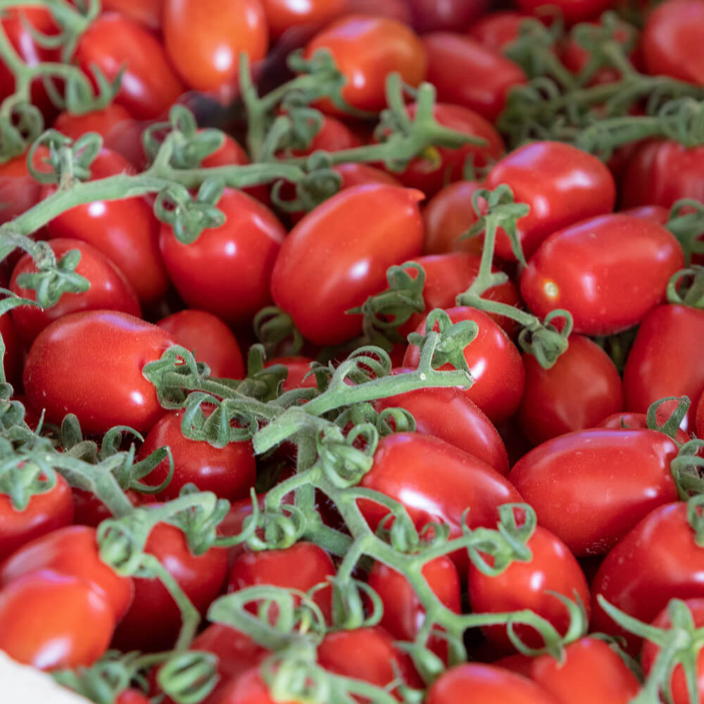 Pomodori Piccadilly