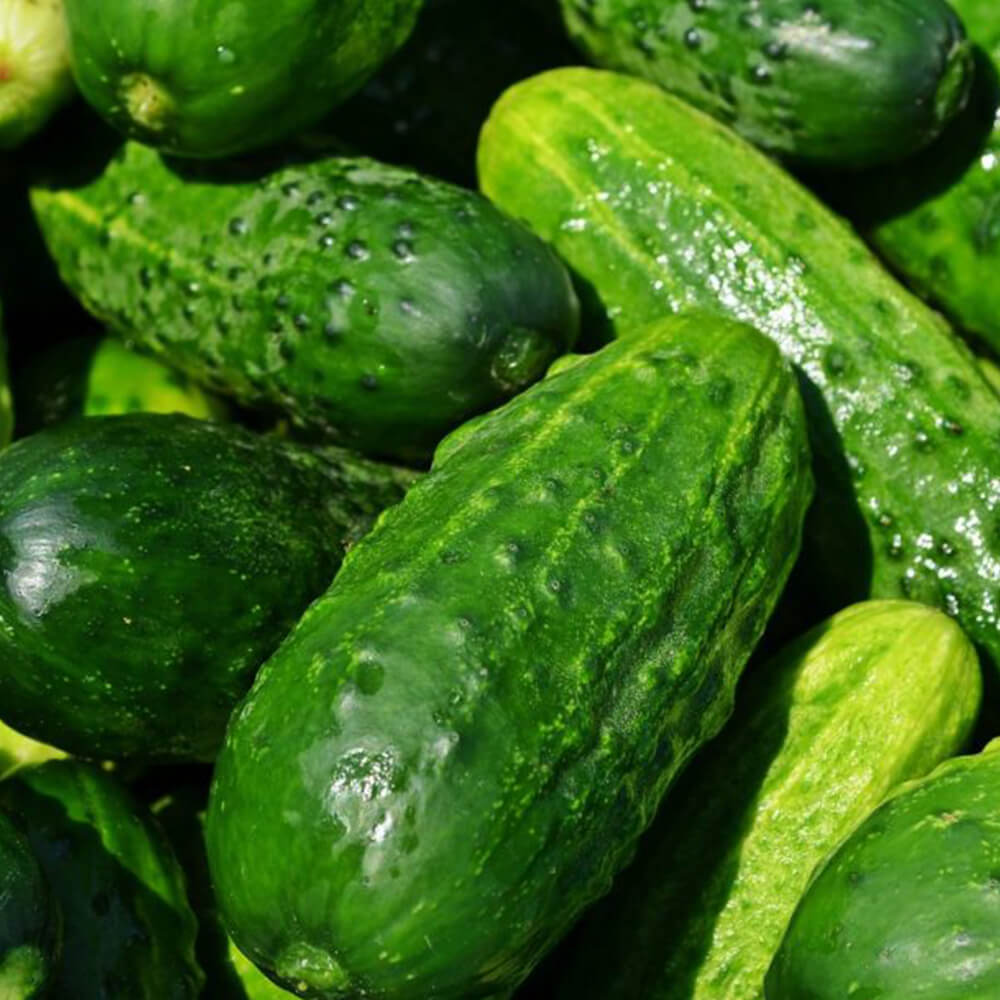 Cetrioli