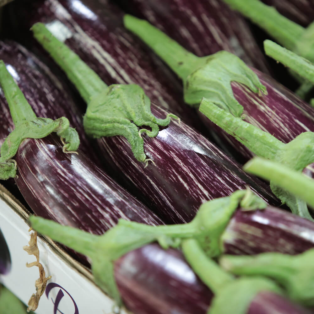 Melanzane