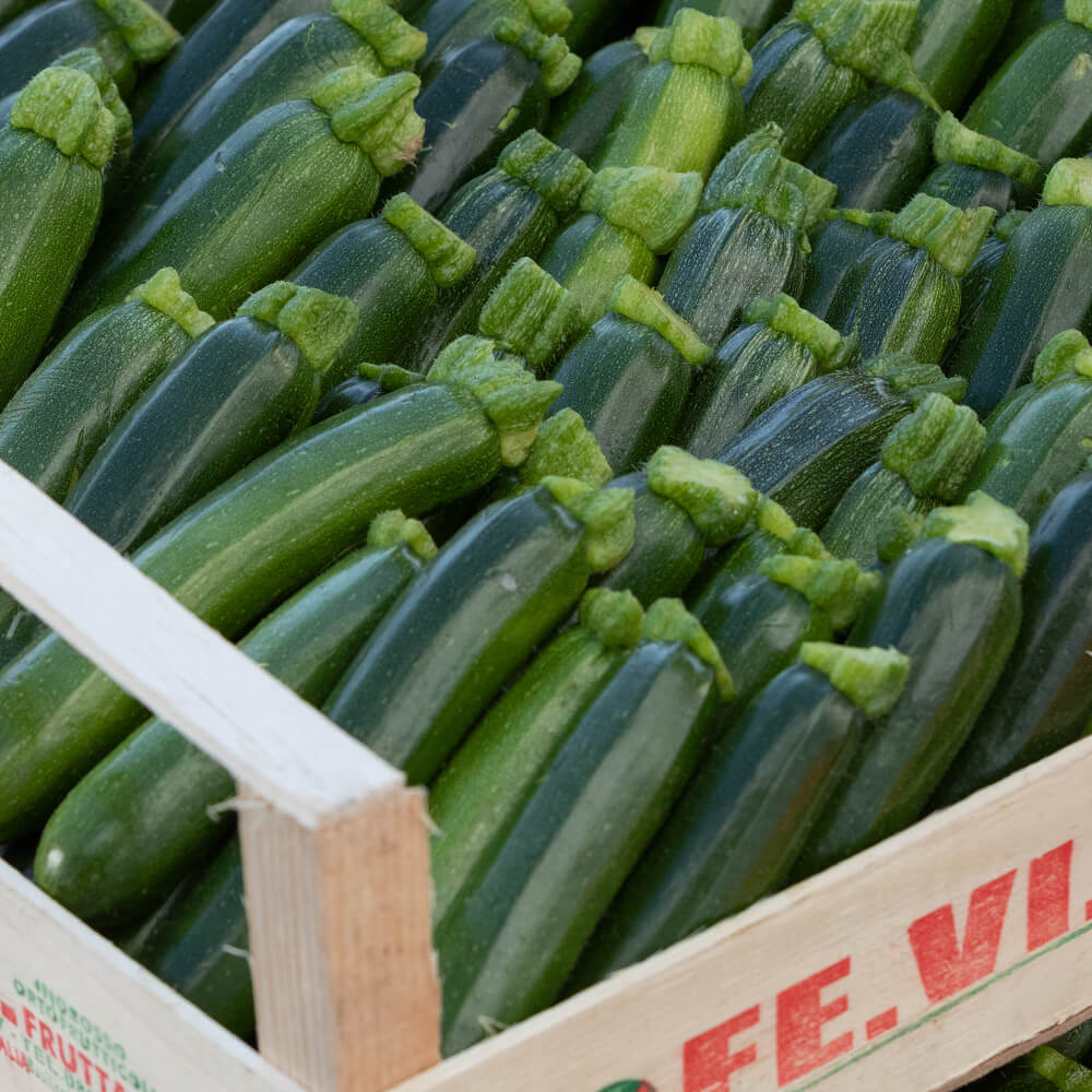 Zucchine