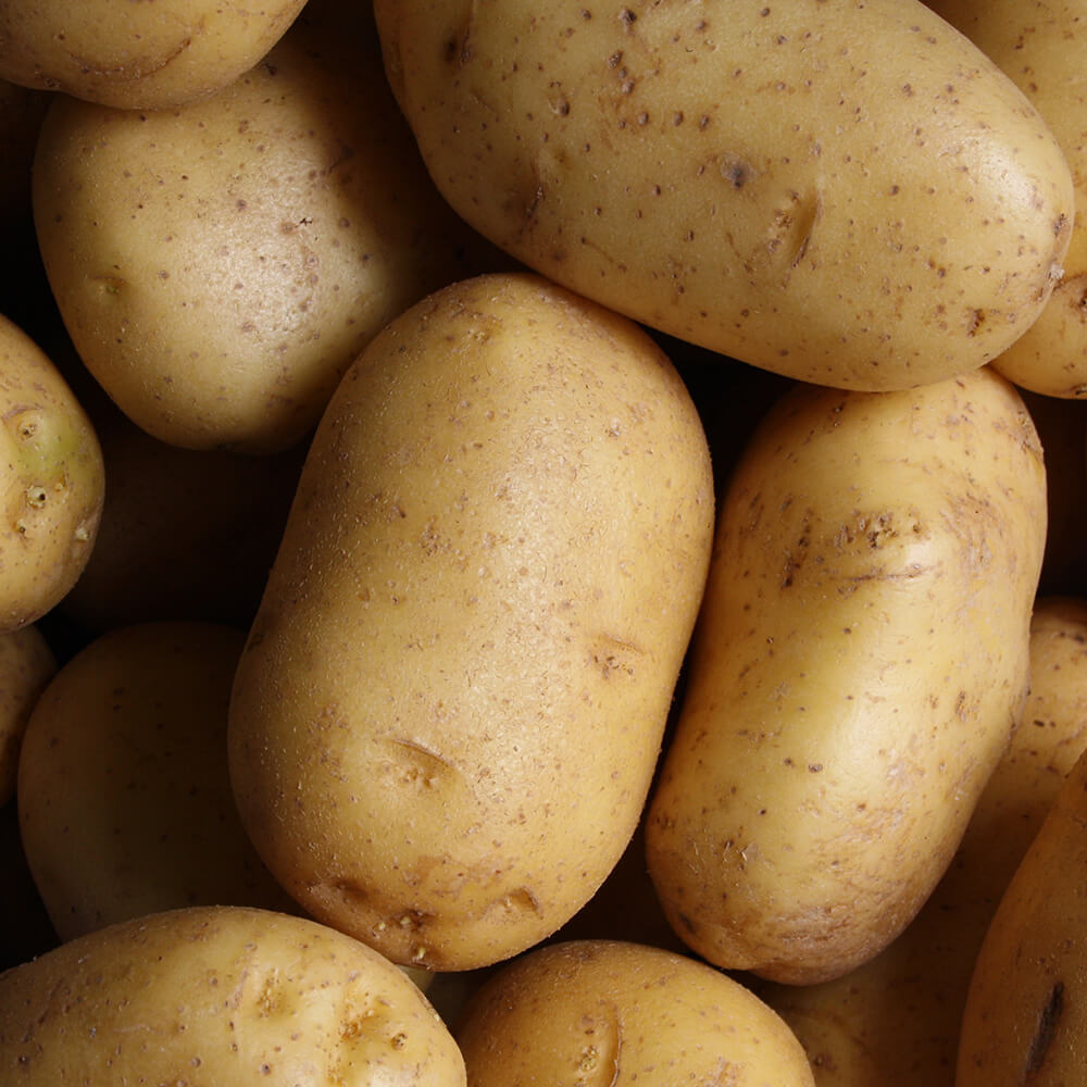 Patate
